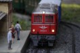 /album/fotogalerie-gartenbahn-anlage/mg-2876-jpg/